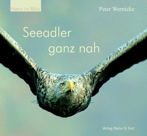 Peter Wernicke Seeadler Ganz Nah