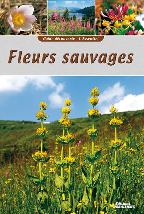 Graveline/debaisieux Guide Découverte Fleurs Sauvages