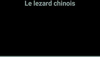 Le Lezard Chinois (Plon)