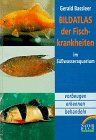 Gerald Bassleer Bildatlas Der Fischkrankheiten Im Süßwasseraquarium. Vorbeugen, Erkennen, Behandeln