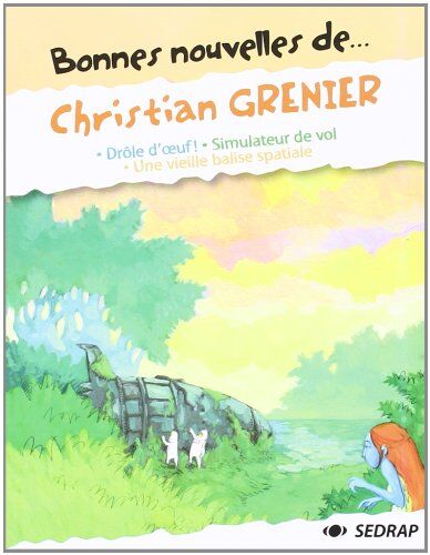 Bonnes Nouvelles De... Christian Grenier : Drôle D'Oeuf ! Simulateur De Vol ; Une Vieille Balise Spatiale