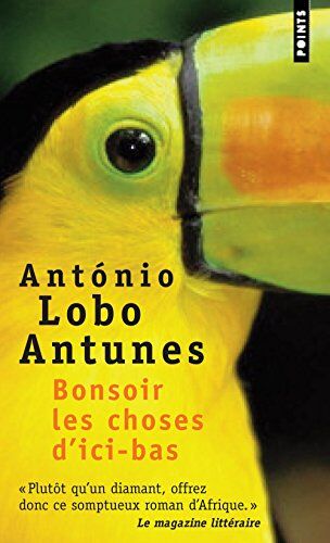 Antnio Lobo Bonsoir Les Choses D'Ici Bas