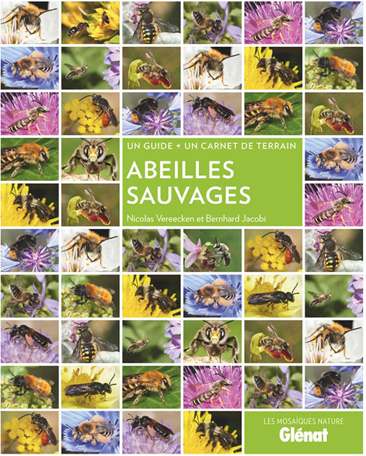 Editions Glénat Guide Abeilles sauvages