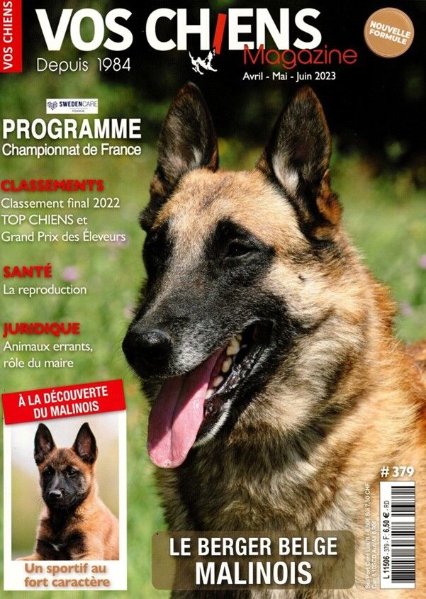 Info-Presse Vos Chiens Magazine - Abonnement 12 mois