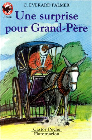 Une Surprise pour grand-père C. Everard Palmer Castor poche-Flammarion