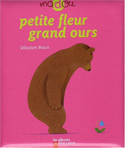 Petite fleur, grand ours Sébastien Braun Père Castor-Flammarion