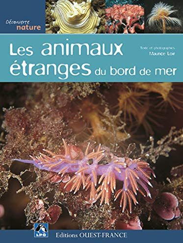 Les animaux étranges du bord de mer Maurice Loir Ouest-France