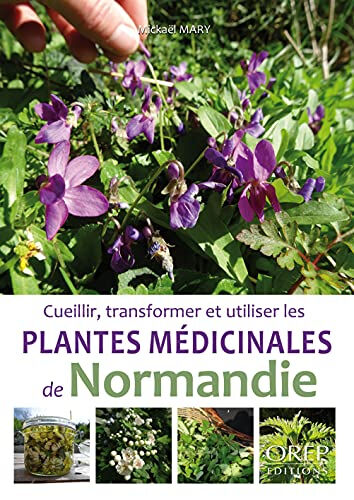 Cueillir, transformer et utiliser les plantes médicinales de Normandie Mickaël Mary OREP