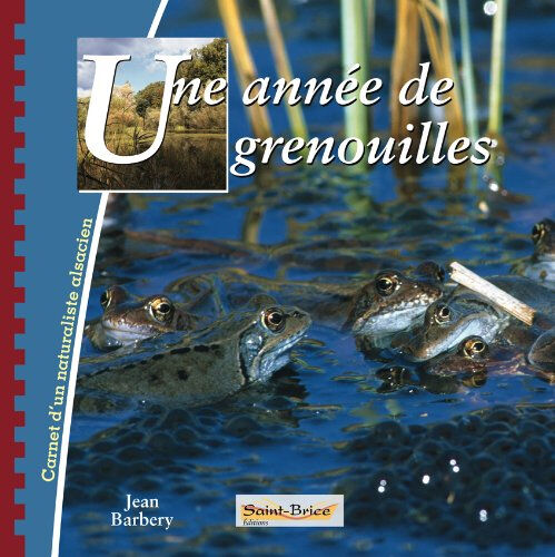 Une année de grenouilles Jean Barbery Saint-Brice
