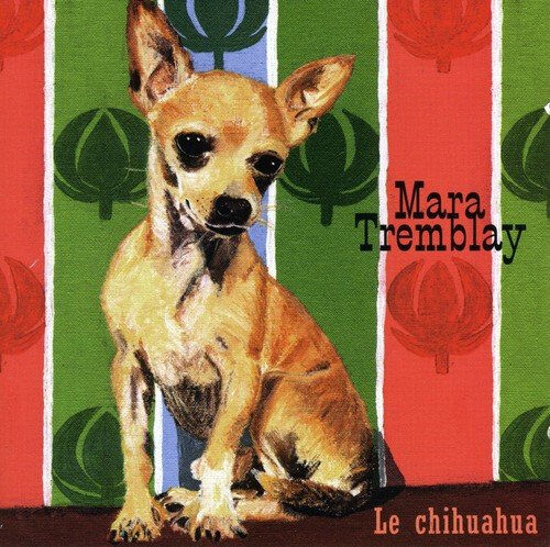 chihuahua [import usa] tremblay mara ( frere a ch'val mis