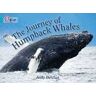 Andy Belcher The Journey of Humpback Whales: Band 07/Turquoise