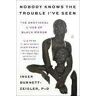 Inger Burnett-Zeigler Nobody Knows the Trouble I've Seen: The Emotional Lives of Black Women