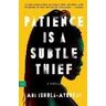 Abi Ishola-Ayodeji Patience Is a Subtle Thief: A Novel