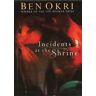 Ben Okri Incidents At The Shrine