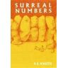 Donald Knuth Surreal Numbers