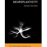 Neuroplasticity