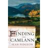 Finding Camlann: A Novel