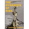 The Dynamics of Risk