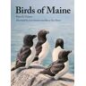 Birds of Maine