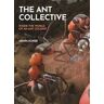 The Ant Collective