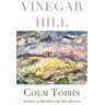 Colm Toibin Vinegar Hill