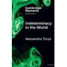 Indeterminacy in the World