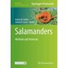 Salamanders