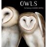 Jeannine Chappell Owls: The Paintings of