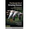 The Social Life of Greylag Geese