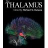 The Thalamus