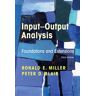 Input-Output Analysis