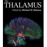 The Thalamus