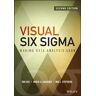 Visual Six Sigma