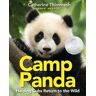 Camp Panda