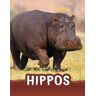 Jaclyn Jaycox Hippos