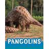 Jaclyn Jaycox Pangolins