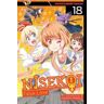 Naoshi Komi Nisekoi: False Love, Vol. 18