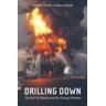 Joseph A. Tainter;Tadeusz W. Patzek Drilling Down: The Gulf Oil Debacle and Our Energy Dilemma