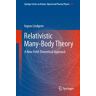 Relativistic Many-Body Theory