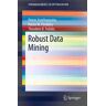 Robust Data Mining