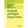 Quadratic and Higher Degree Forms