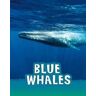 Mari Schuh Blue Whales