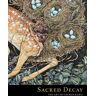 Sacred Decay: The Art of Lauren Marx