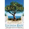 Lucinda Riley The Olive Tree