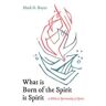 What is Born of the Spirit is Spirit