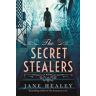 Jane Healey The Secret Stealers: A Novel