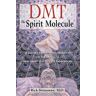 DMT: The Spirit Molecule