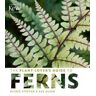 Richie Steffen;Sue Olsen The Plant Lover's Guide to Ferns