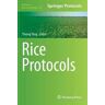 Rice Protocols