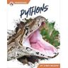 Libby Wilson Predators: Pythons